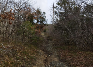 Продажа участка, 100 сот., СНТ Зелёная Роща, улица Строителей