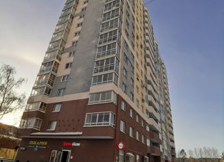 Продается 1-комнатная квартира, 41 м2, Екатеринбург, Дружининская улица, 5А, Дружининская улица