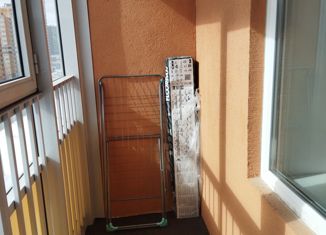 Аренда квартиры студии, 25.6 м2, Мурино, Екатерининская улица, 8к2, ЖК Три кита