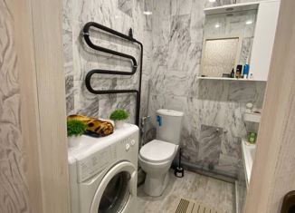 Продажа 1-комнатной квартиры, 34.5 м2, село Толмачево, Трудовая улица, 5