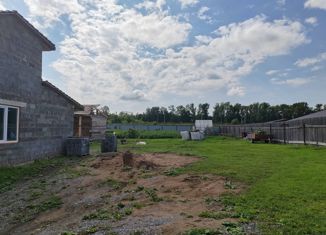 Дом на продажу, 167 м2, деревня Карловка, улица Победы