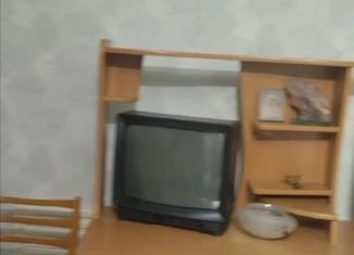 1-комнатная квартира в аренду, 18 м2, Иркутская область, улица Энтузиастов, 17