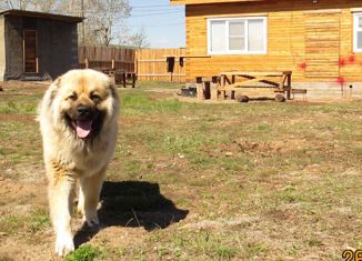 Продается дом, 62.7 м2, рабочий посёлок Качуг, улица Пуляевского, 5