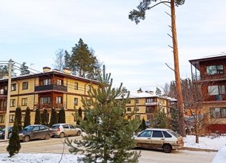 Продажа квартиры студии, 26 м2, деревня Юкки, Тенистая улица, 4