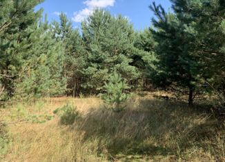 Продаю участок, 20 сот., деревня Варушицы, деревня Варушицы, 12