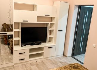 Сдаю в аренду дом, 52 м2, село Чистенькое, улица Свиридова, 14