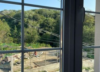 Продаю квартиру студию, 19.9 м2, село Орёл-Изумруд, улица Лазурная Долина, 193А