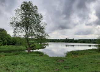 Продается участок, 39.52 сот., деревня Дальнее Хорошово, 28Н-0796