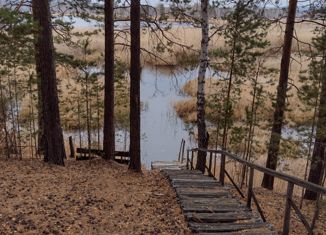 Продажа земельного участка, 170 сот., Касли, улица Ленина