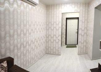 Продается 1-ком. квартира, 26 м2, хутор Ленина, Наримановская улица, 10к4