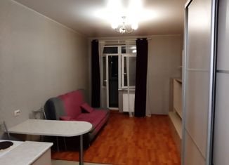 Продаю 1-ком. квартиру, 25 м2, Санкт-Петербург, проспект Маршала Блюхера, 8к1, метро Лесная