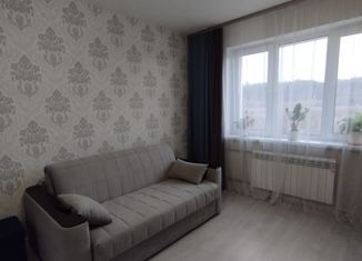 Продаю 1-комнатную квартиру, 43 м2, Нижний Новгород, улица Голубева, 8, улица Голубева