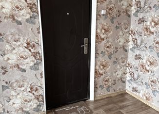 Продажа 1-ком. квартиры, 16.2 м2, Курган, Половинская улица, 8Б, жилой район Центральный