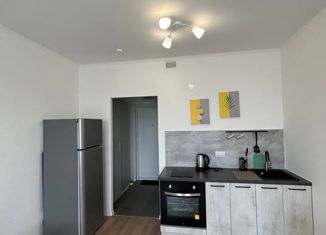 Продается квартира студия, 19.9 м2, Москва, Салтыковская улица, 6/1к7, Салтыковская улица