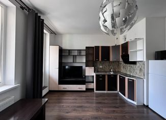 Сдаю квартиру студию, 25 м2, Мурино, Воронцовский бульвар, 18, ЖК Гринландия-2