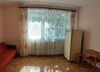 Продается однокомнатная квартира, 18 м2, Новгородская область, Большая Московская улица, 114к2