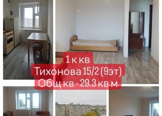 Продается 1-комнатная квартира, 29.3 м2, Мирный, улица Тихонова, 15/2