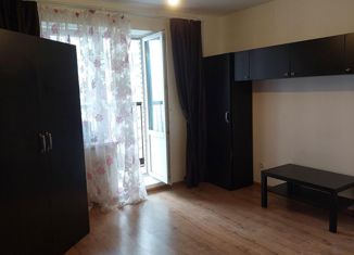 Продажа квартиры студии, 25 м2, Санкт-Петербург, Советский проспект, 12, метро Рыбацкое