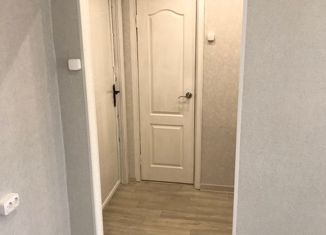 1-ком. квартира на продажу, 252 м2, Дзержинск, улица Урицкого, 8А