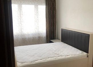 Продажа двухкомнатной квартиры, 46.6 м2, Санкт-Петербург, Парашютная улица, 61к1, ЖК Шуваловский