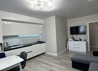 Двухкомнатная квартира на продажу, 66.4 м2, Чебаркуль, улица Крылова, 22