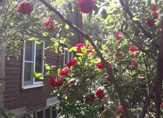 Продаю дом, 43 м2, станица Елизаветинская, Вишнёвая улица, 174