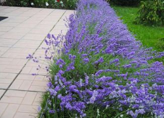 Продажа дома, 214 м2, деревня Алтухово, деревня Алтухово, 13