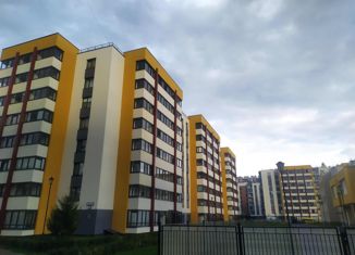 Квартира на продажу студия, 25 м2, Санкт-Петербург, улица Генерала Кравченко, 5к2, Красносельский район