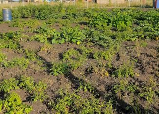 Участок на продажу, 10 сот., село Новый Краснояр