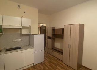 Сдается квартира студия, 24 м2, Ленинградская область, Воронцовский бульвар, 11к5