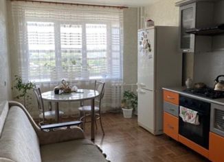Продажа однокомнатной квартиры, 44.8 м2, Нижний Новгород, Горная улица, 11, Горная улица