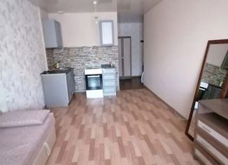 Сдам в аренду квартиру студию, 27 м2, Барнаул, улица Сергея Ускова, 42