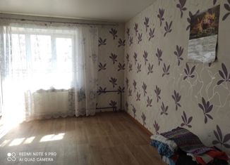 Продажа квартиры студии, 25.3 м2, деревня Хохряки, Тепличная улица, 32