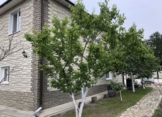 Продам дом, 96.3 м2, село Владимиро-Александровское, улица Лазо