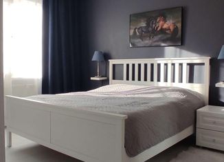 2-комнатная квартира на продажу, 53 м2, Петергоф, Ропшинское шоссе, 3к7