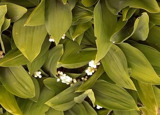 Продаю дом, 20 м2, Стерлитамак, Родниковый тупик