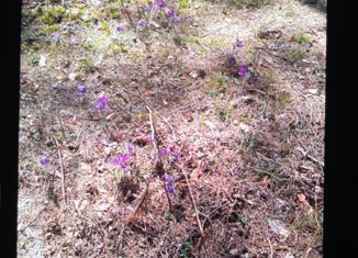 Продажа земельного участка, 15 сот., село Сабаево, улица Лавровской