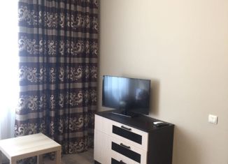 Сдача в аренду однокомнатной квартиры, 24.8 м2, Туапсе, улица Максима Горького, 5