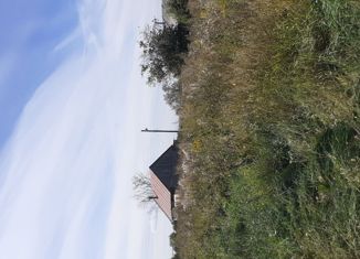 Продаю дом, 50 м2, деревня Нуршари, Лесная улица