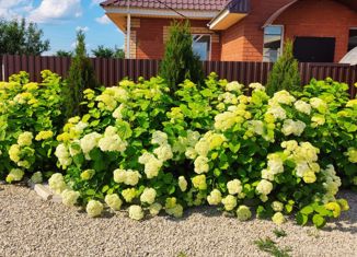 Дом на продажу, 85 м2, деревня Карпово, Снежная улица, 2Е