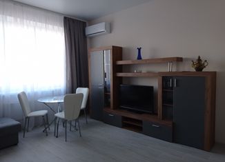 1-комнатная квартира в аренду, 47 м2, Волгоград, Туркменская улица, 6, ЖК Доминант