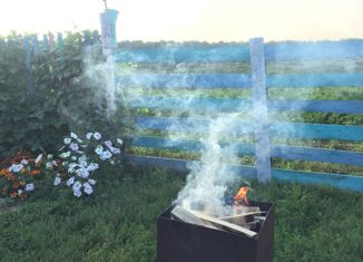 Продаю дом, 58 м2, село Усть-Сосново, 2-я Набережная улица, 5