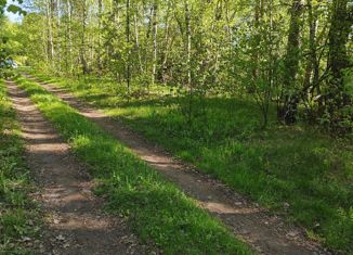 Продаю участок, 40 сот., деревня Курилово