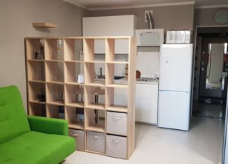 Сдам в аренду квартиру студию, 26 м2, Санкт-Петербург, улица Михаила Дудина, 10, улица Михаила Дудина