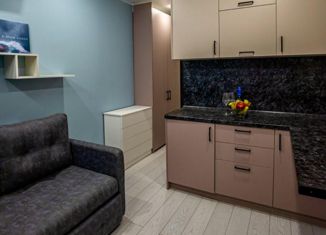 Продам однокомнатную квартиру, 14 м2, Сочи, Фермерский переулок, 24/1, микрорайон Энергетик-Изумруд