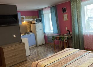 Сдается 1-комнатная квартира, 30 м2, Мурманская область, проспект Металлургов, 34