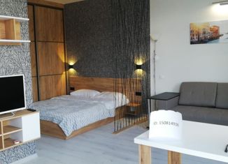 Продается однокомнатная квартира, 42.4 м2, село Орёл-Изумруд, Банановая улица, 87