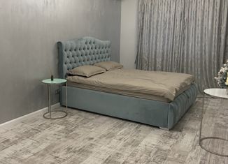 Продажа двухкомнатной квартиры, 50 м2, Ростов-на-Дону, Доломановский переулок, 126, ЖК Центральный-3