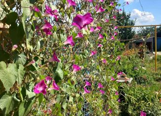 Продается дом, 110 м2, посёлок Новосергиевка, улица Жукова