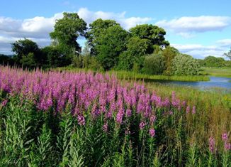 Продаю земельный участок, 9890 сот., посёлок городского типа Килемары, Новая улица